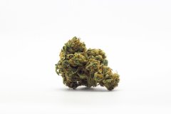Pink Grapefruit