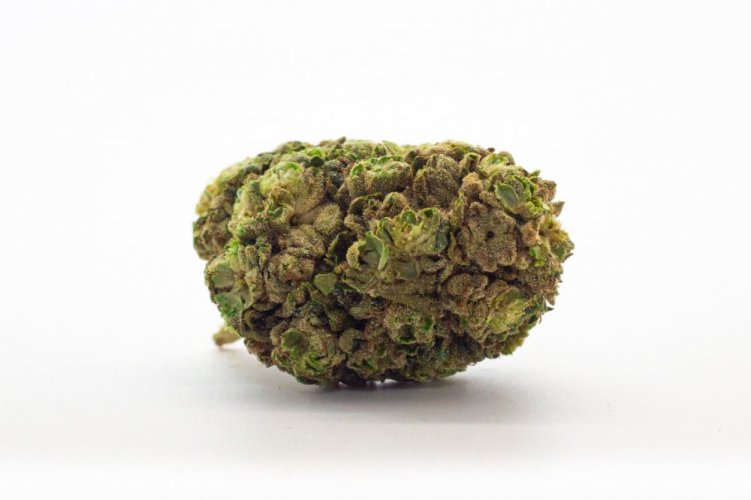 Mango - Menge: 10g